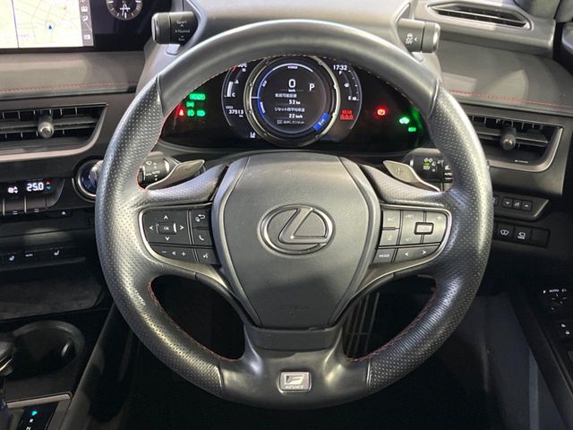 Lexus UX 12
