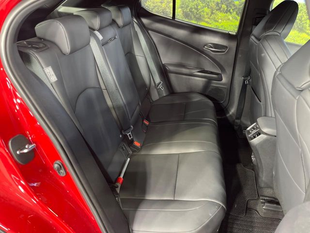 Lexus UX 10