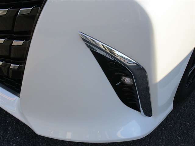 Toyota Alphard 12