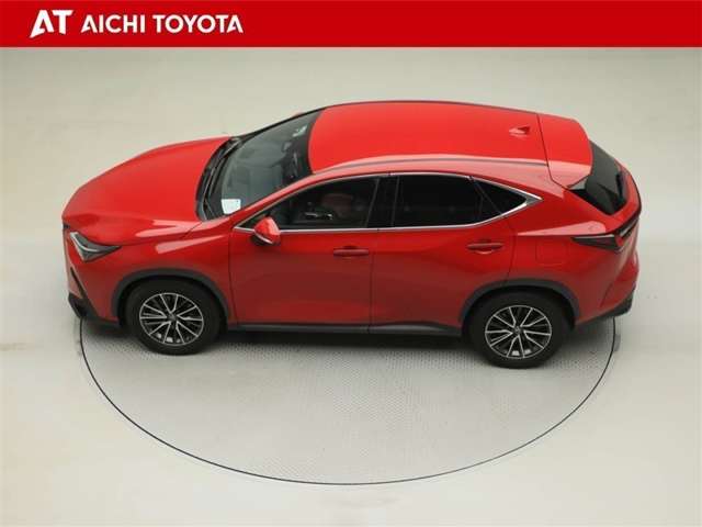 Lexus NX 11