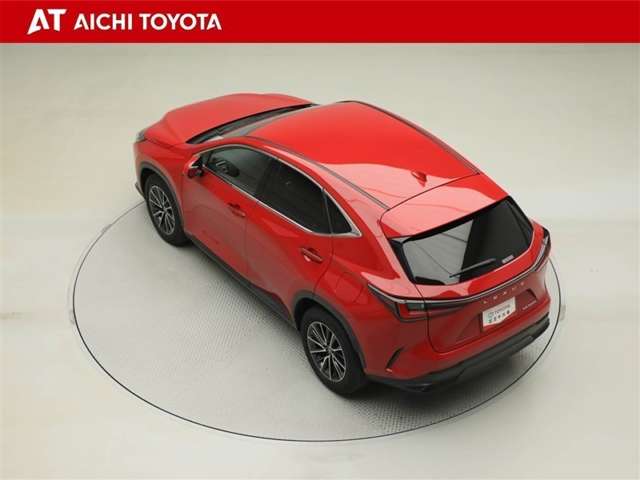 Lexus NX 12