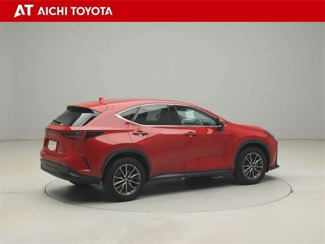 Lexus NX 6
