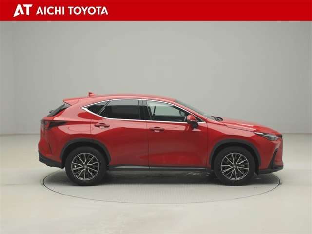 Lexus NX 7