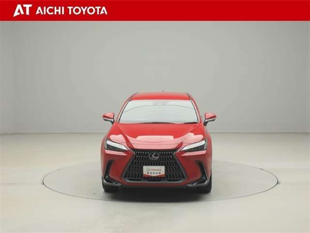 Lexus NX 9