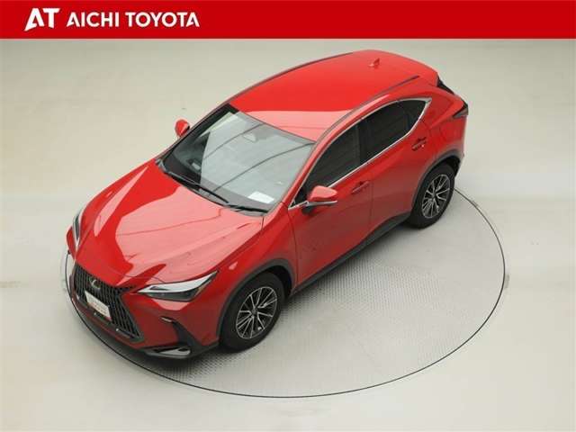 Lexus NX 10