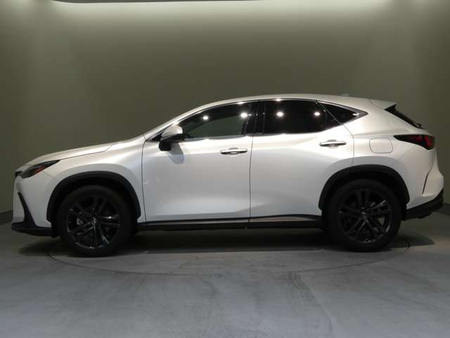 Lexus NX 12