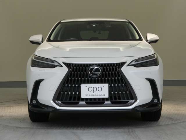 Lexus NX 10