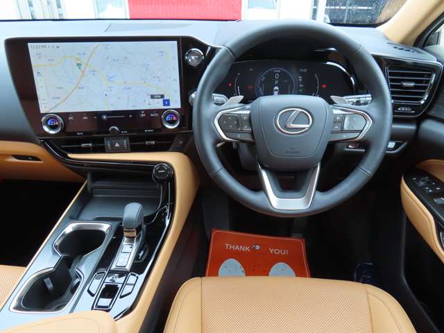 Lexus NX 11