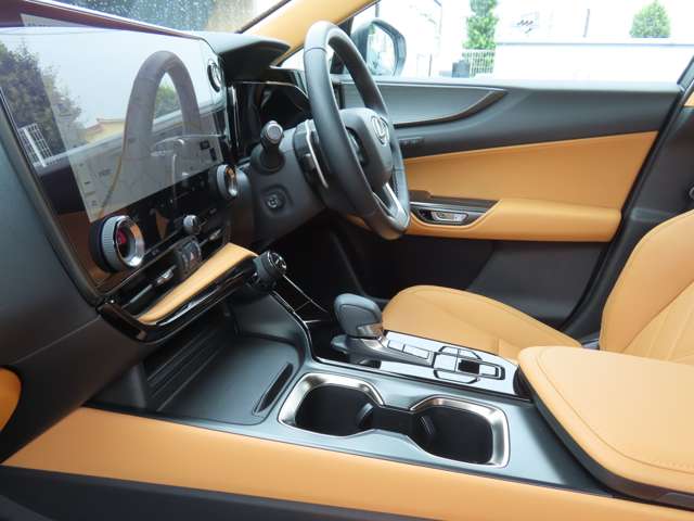 Lexus NX 12