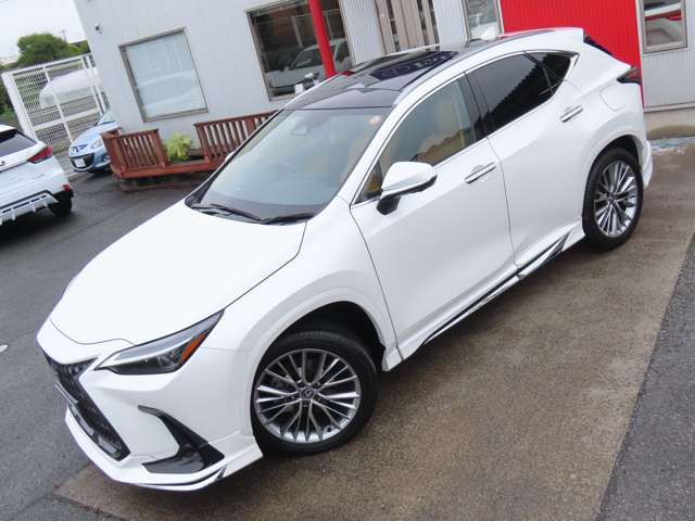 Lexus NX 3