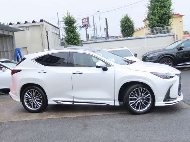 Lexus NX 4