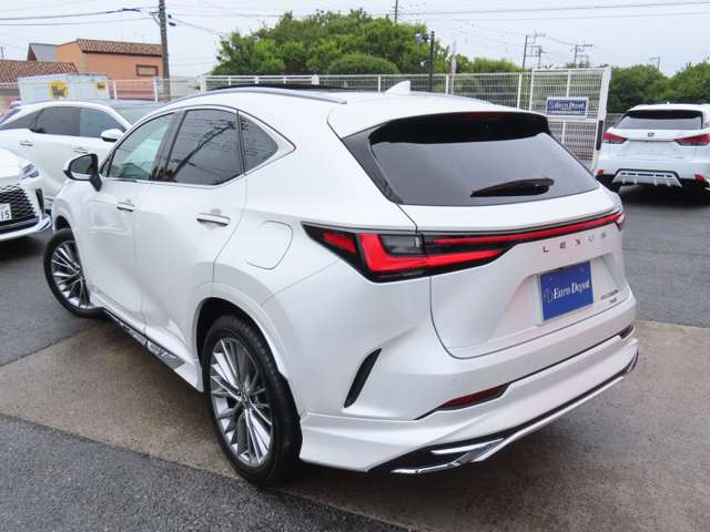 Lexus NX 9