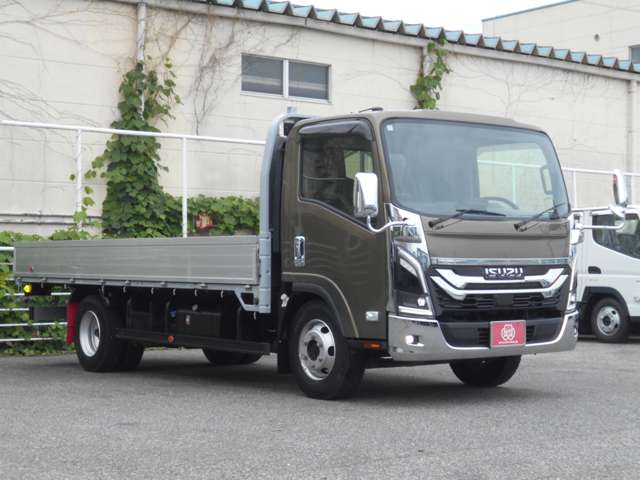 Isuzu Elf 3