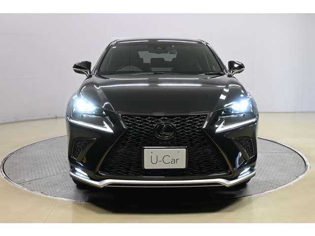 Lexus NX 4