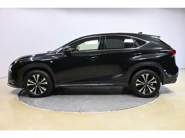 Lexus NX 5