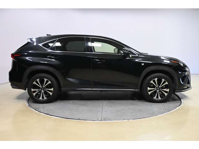 Lexus NX 6
