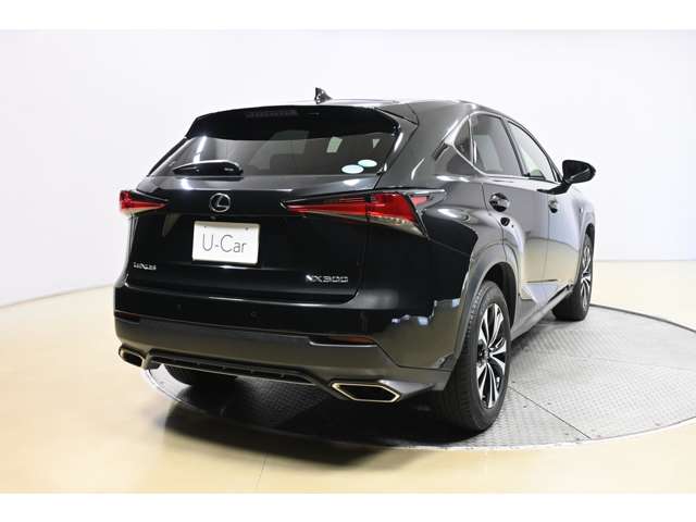 Lexus NX 7