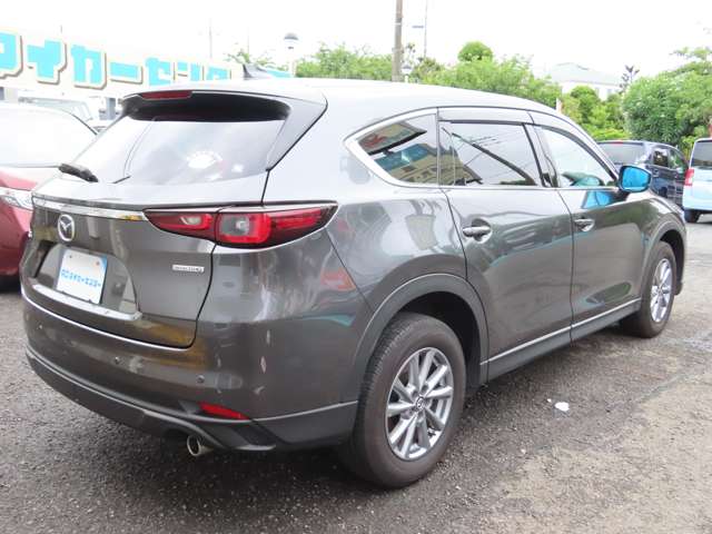 Mazda CX-8 6