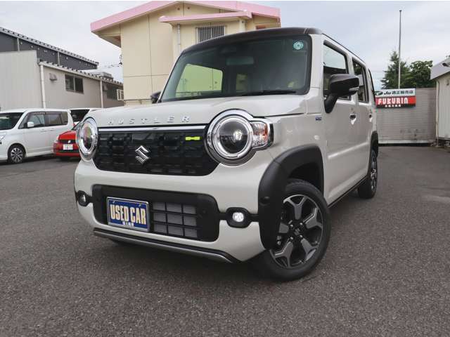 Suzuki Hustler 8