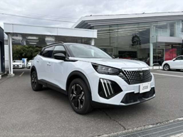 Peugeot SUV 2008 3