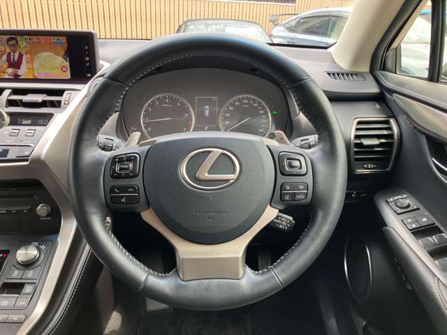Lexus NX 11
