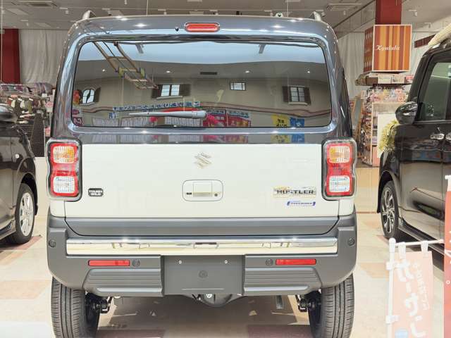 Suzuki Hustler 10