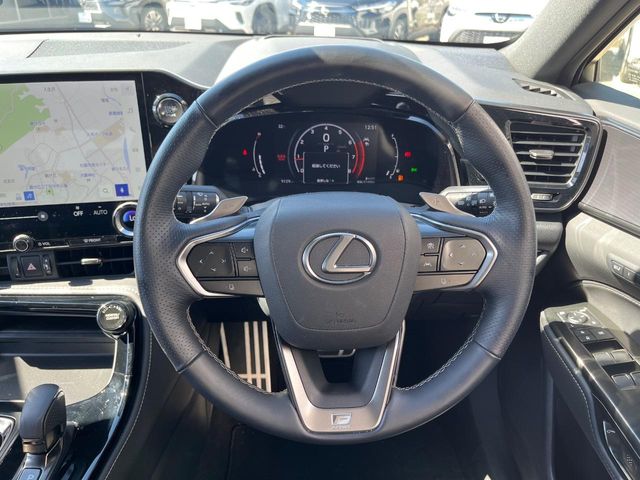 Lexus NX 11