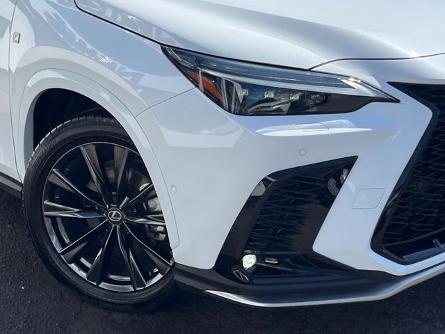 Lexus NX 12