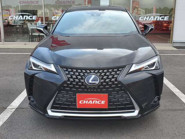 Lexus UX 6