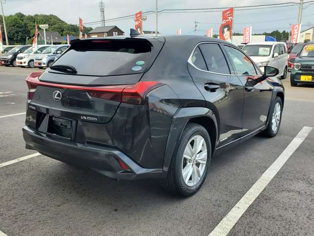 Lexus UX 9