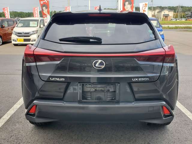 Lexus UX 10