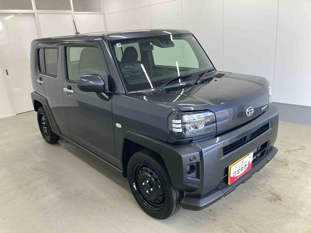 Daihatsu Taft 6