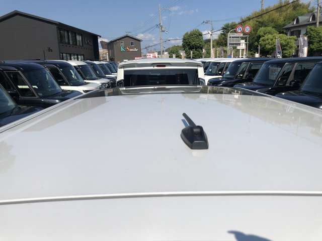 Daihatsu Taft 10