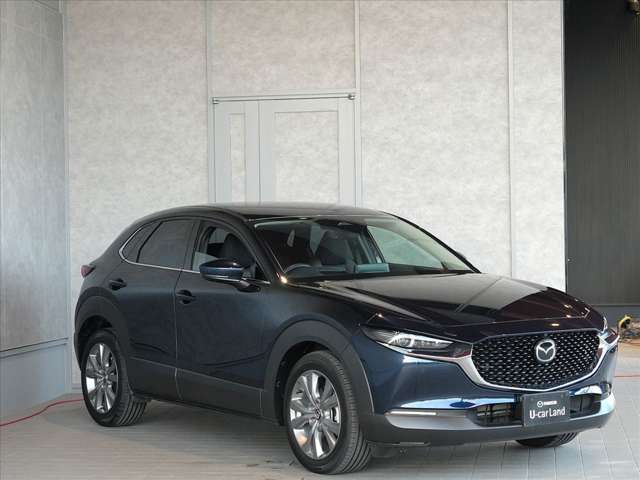 Mazda CX-30 3