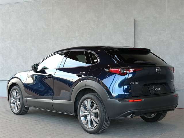 Mazda CX-30 5