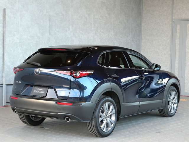 Mazda CX-30 7