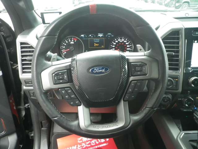 Ford F-150 11