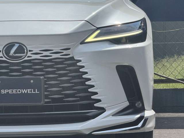 Lexus RX 11
