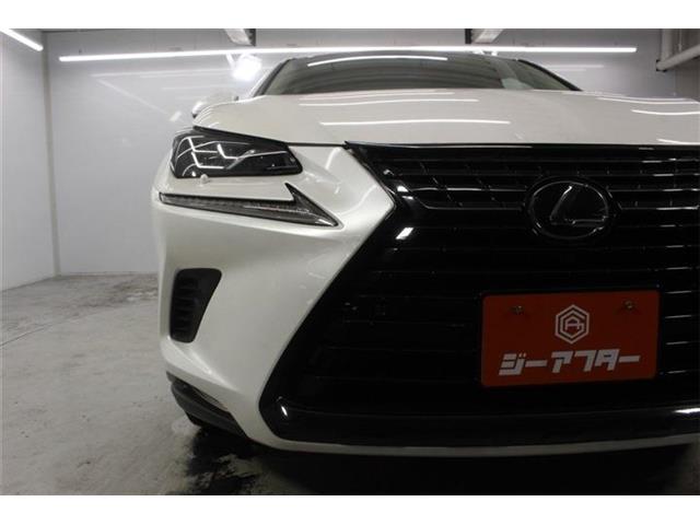 Lexus NX 12