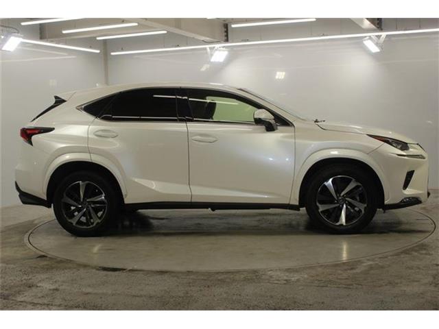 Lexus NX 5