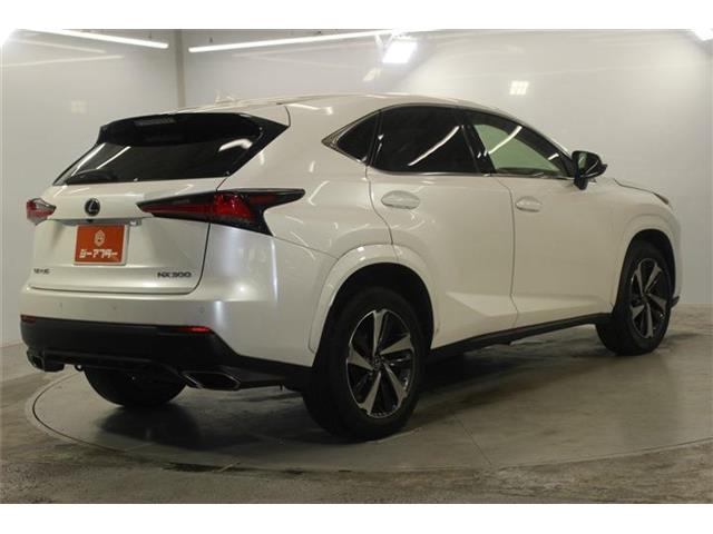 Lexus NX 6