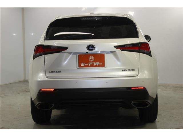 Lexus NX 7