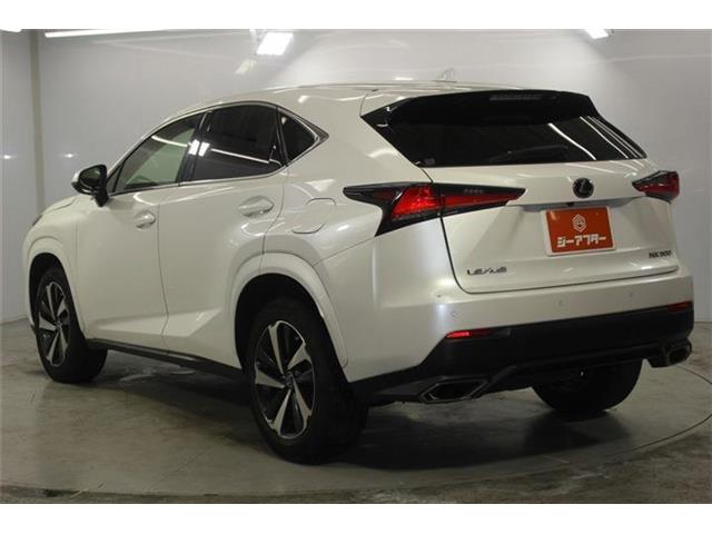 Lexus NX 8
