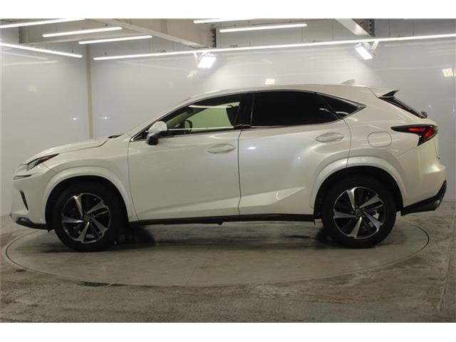 Lexus NX 9