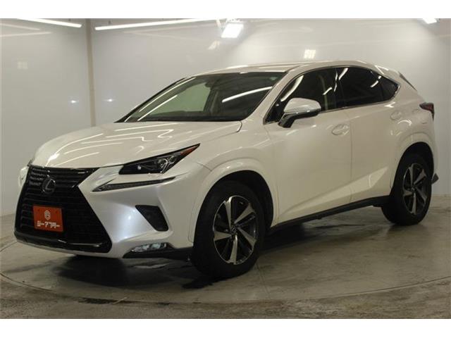 Lexus NX 10