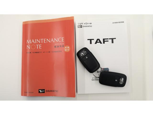 Daihatsu Taft 11