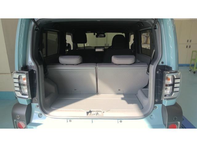 Daihatsu Taft 6