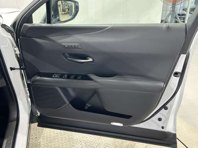 Lexus UX 11