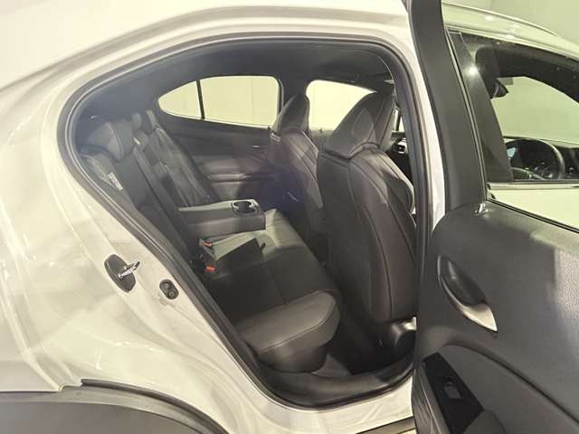 Lexus UX 12