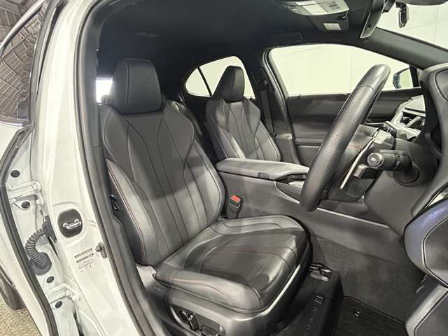 Lexus UX 10